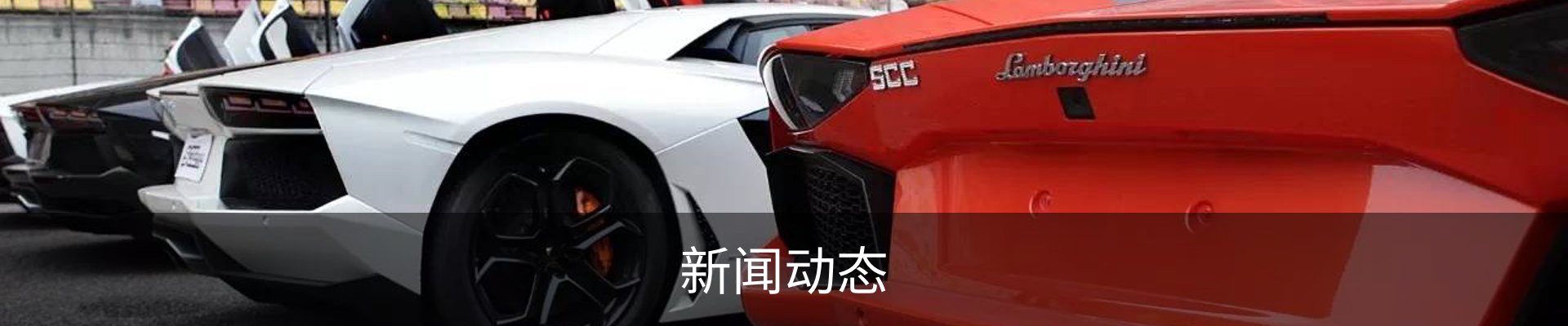 新闻动态